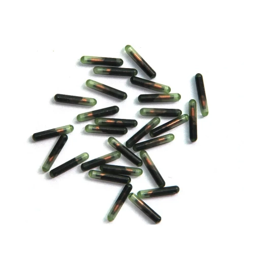 Small translucent glass capsules with dark internal components and visible copper coils.